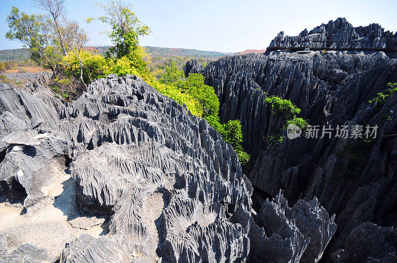 马达加斯加的Tsingy de Bemaraha